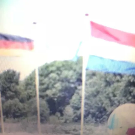 Bungalowpark De Wielen Huis 6 *
